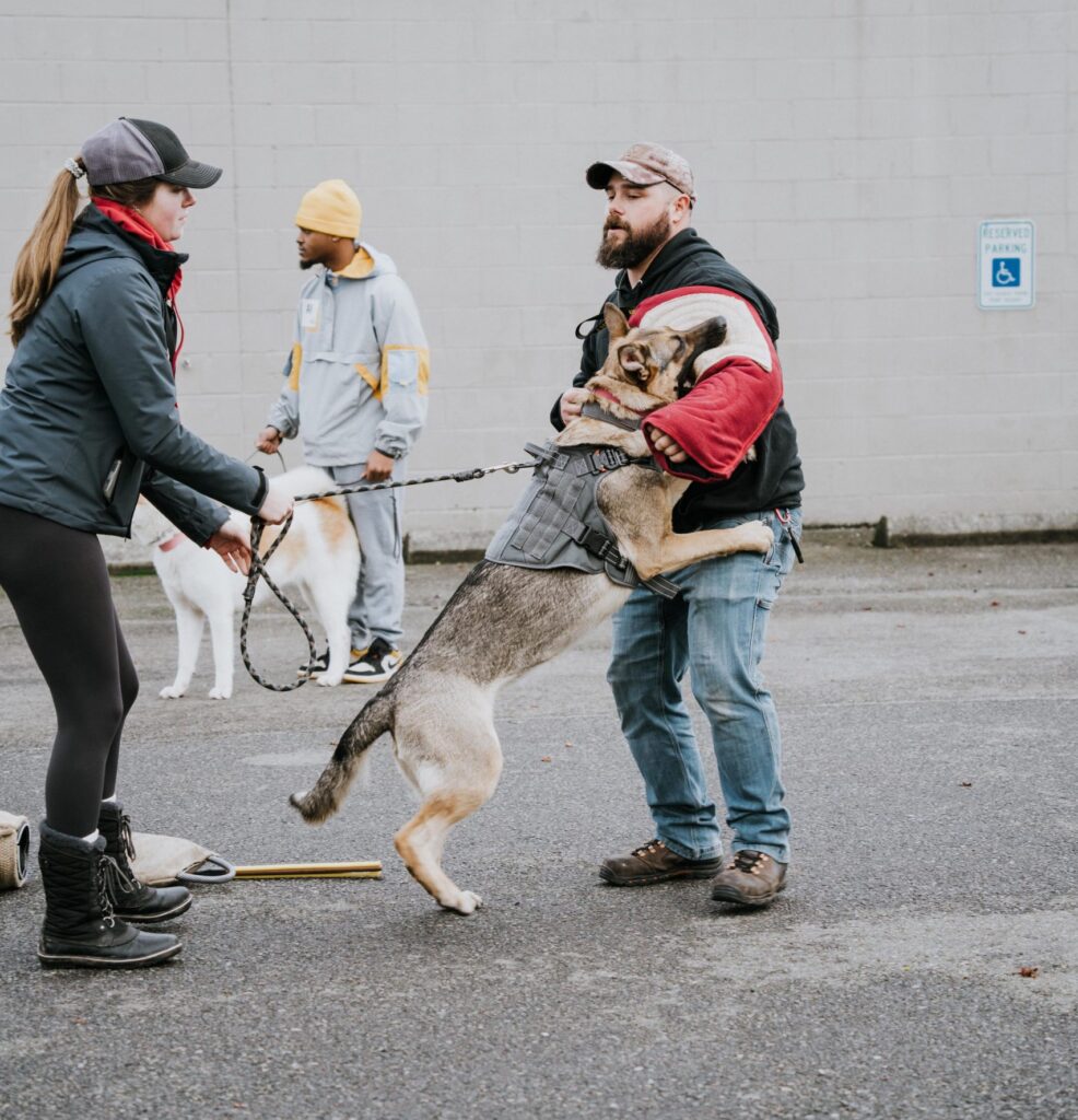 Tacoma Dog Training